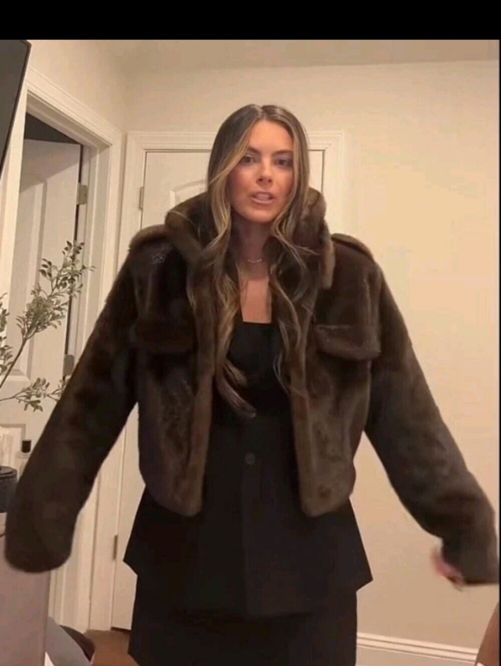 Zara Short Faux Fur Bomber Jacket - Picture 4 of 8